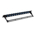 1U Fiber Patch Panel with 12 LC OS2 Single Mode Fiber Optic Couplers Singlemode by FiberOpticalAccessories