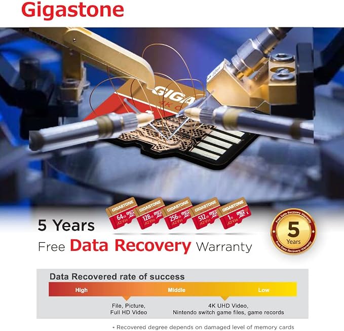 【for Switch 1 Only】 GIGASTONE 256GB Micro SD Card 2-Pack, 4K Game Pro, A2 V30 - Image 8
