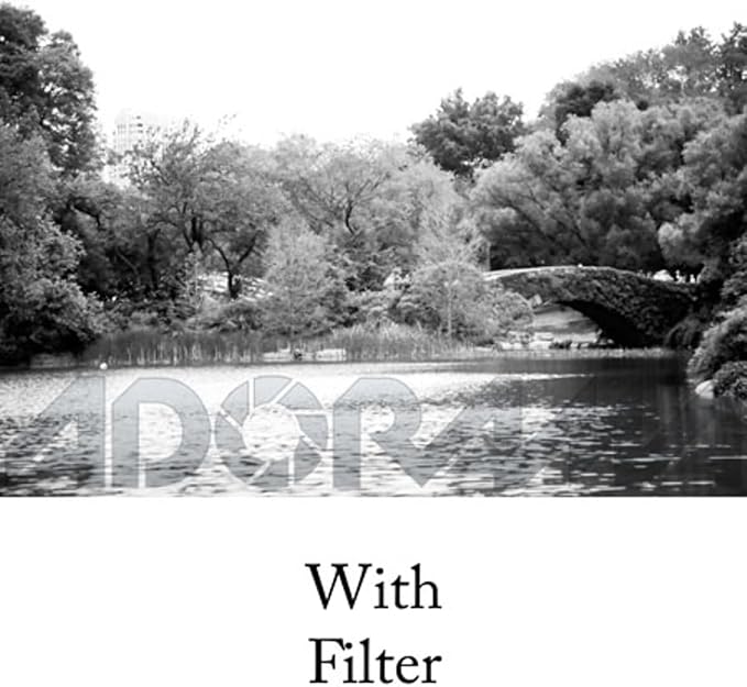 Tiffen 72mm 25 Filter - Image 3