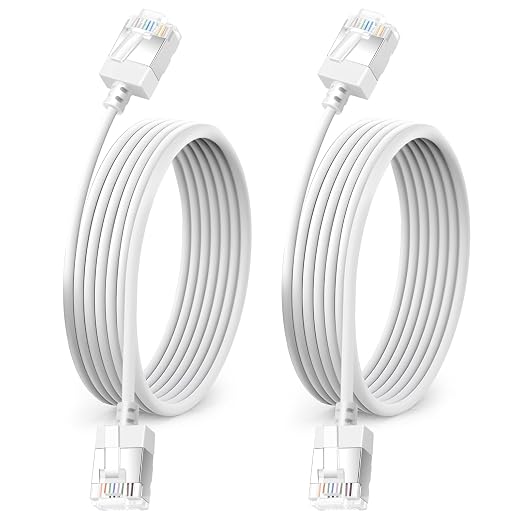 Ultra Thin Cat 6A Ethernet Cable 10 Feet 2Pack, Flexible & Slim Rj45 Cat6a LAN by DUTEVOLNS
