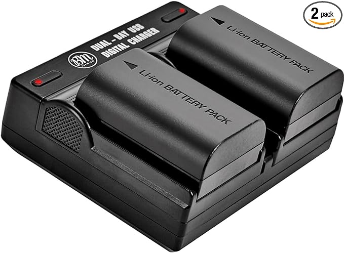 BM 2-Pack of LP-E6N Batteries and Dual Battery Charger by BMPremium