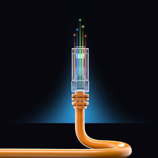 Maximm Cat 6 Ethernet Cable 50 ft - Image 8