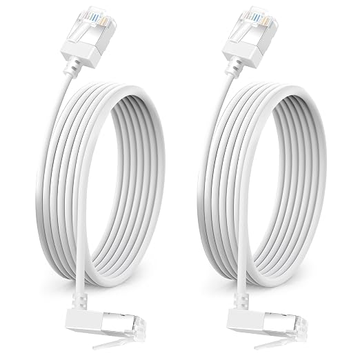 90° Downward Angled Cat 6A Ethernet Ultra Slim Cable 25 Feet 2Pack, Flexible by DUTEVOLNS