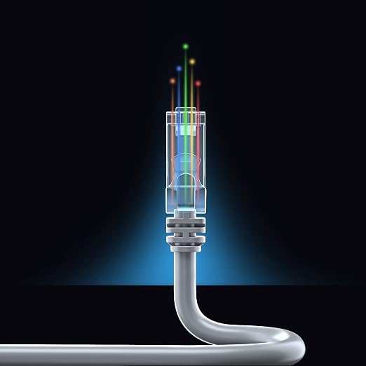 Maximm Cat 6 Ethernet Cable - 7 ft - High-Speed LAN - Image 8