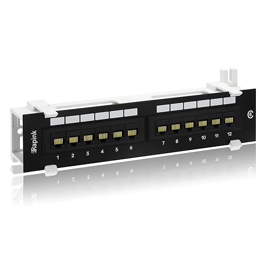 Rapink Patch Panel 12 Port Cat6 10G Support, Network Patch Panel UTP 10-Inch by Rapink