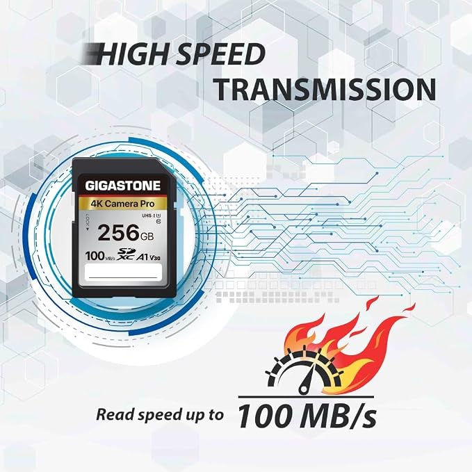 【5-Years Data Recovery】 GIGASTONE 256GB SD Card - Image 4