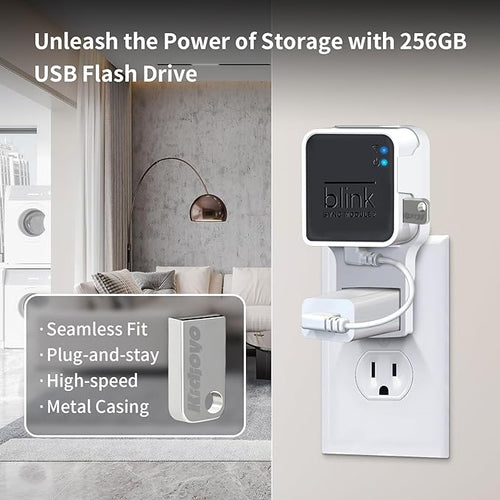 256GB Blink USB Flash Drive & Wall Mount - Image 2