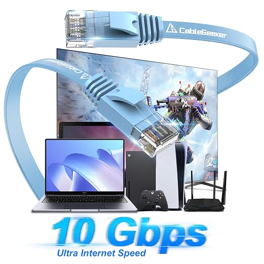 Cat 6 Ethernet Cable 10ft 2-Pack, Indoor&Outdoor, High Speed 10Gbps Internet - Image 2