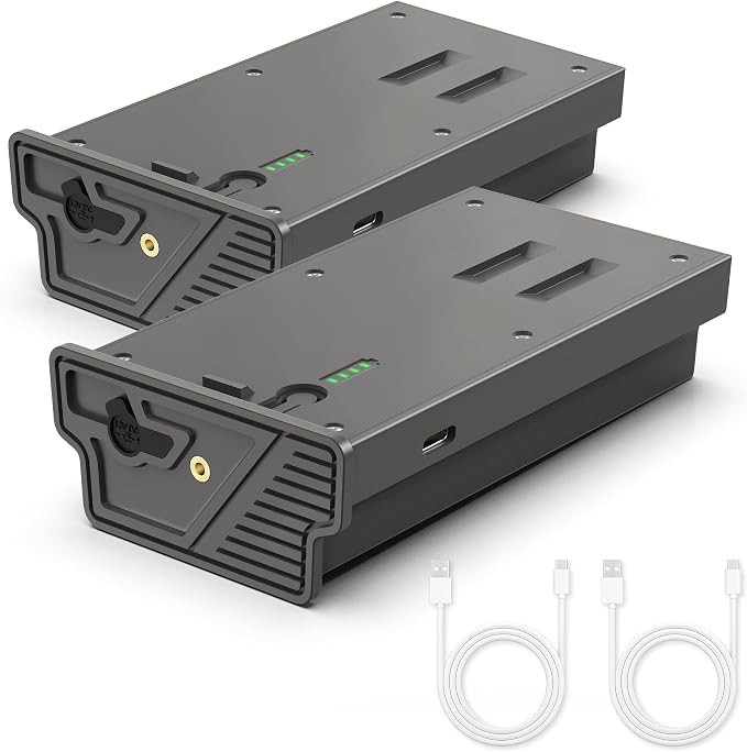 Lesaps 2-Pack Rechargeable Reveal Lipo Lithium Battery Pack by Lesaps