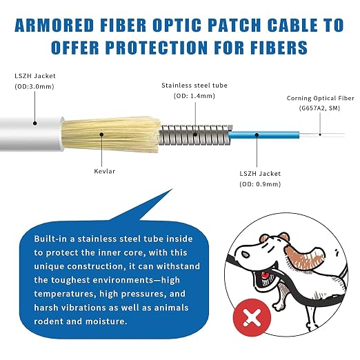 100ft SC to SC Fiber Optic Patch Cable, Armored Single Mode SC/UPC to SC/UPC - Image 2