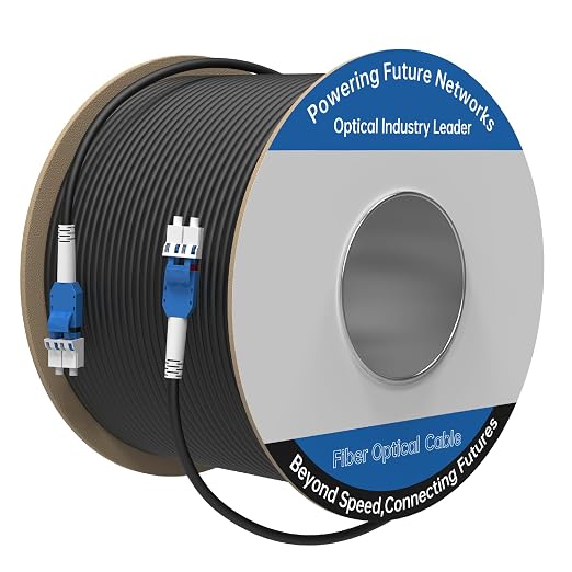 300M/984FT LC to LC Armored Outdoor Fiber Optic Cable, Single Mode Duplex by Unknown