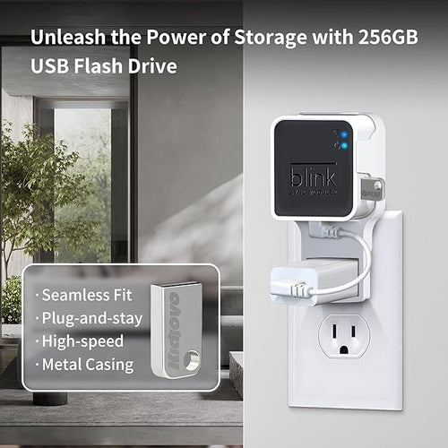 256GB Blink USB Flash Drive & Wall Mount - Image 2