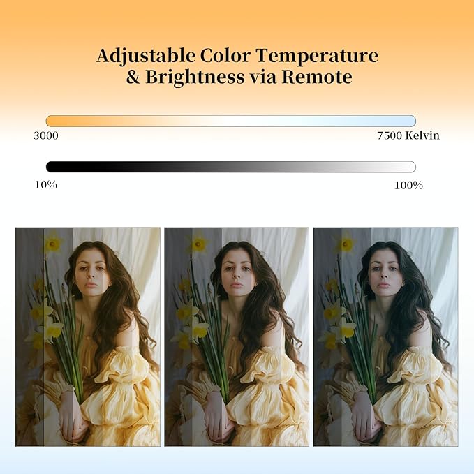 16x16'' Softbox Lighting Kit 2 Pack - Image 3