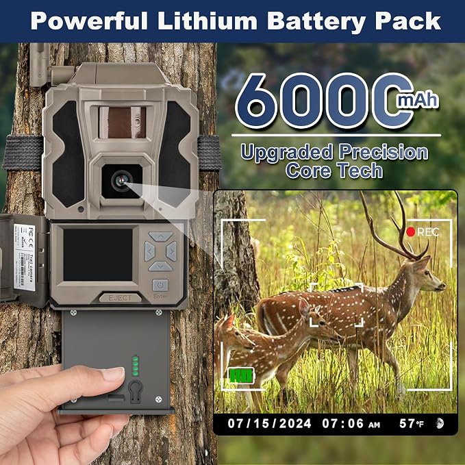 Lesaps 2-Pack Rechargeable Reveal Lipo Lithium Battery Pack - Image 3