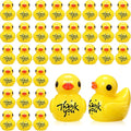 Skylety 50 Pcs Thank You Gifts Mini Resin Ducks Employee Appreciation Gifts by Skylety