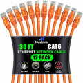 Maximm Cat 6 Ethernet Cable - 30 ft - High-Speed LAN by MaximmCable