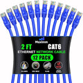Maximm Cat 6 Ethernet Cable 2 Ft, Cat6 Cable, LAN Cable, Internet Cable by MaximmCable