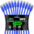 Maximm Cat 6 Ethernet Cable - 8 ft - High-Speed LAN by MaximmCable